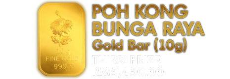 Winning Prize Image 3