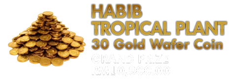 Winning Prize Image 1