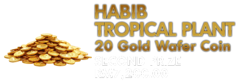 Winning Prize Image 2