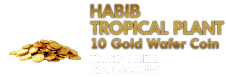 Winning Prize Image 3